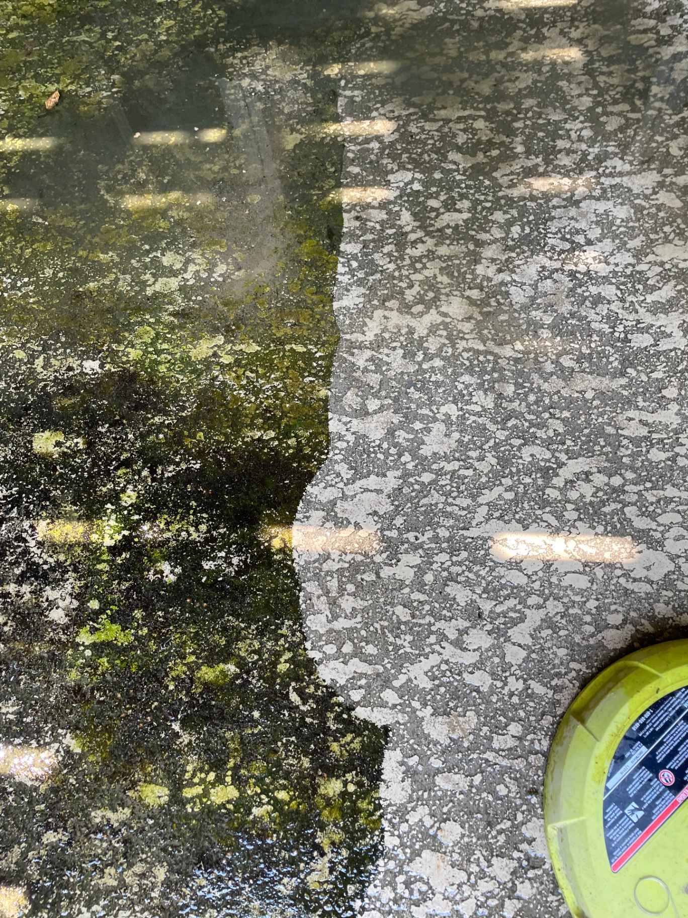 Concrete — left half before pressure washing, right half after
