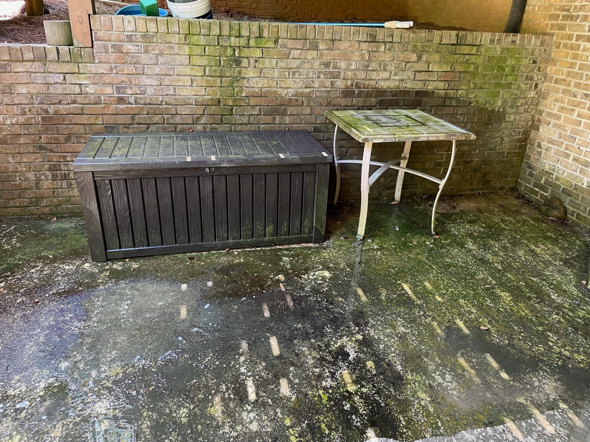 Algae-covered brick patio in Canton, GA before pressure washing