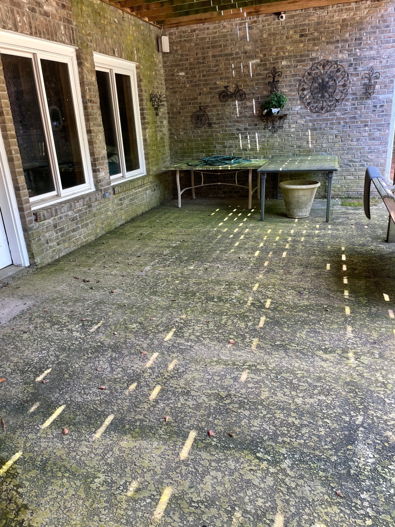 Covered patio with heavy green algae buildup before cleaning